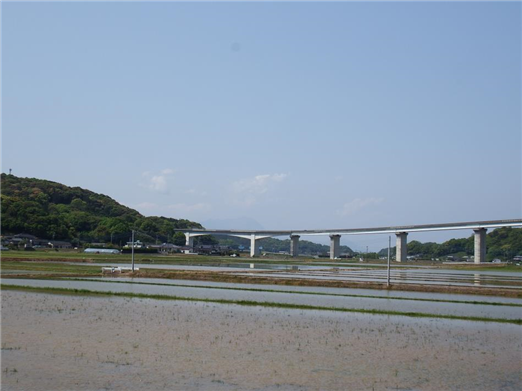 グリーンカーテン4