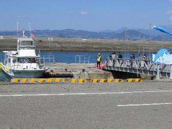 イルカウォッチング乗り場