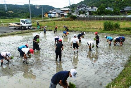 H29_米作り田植え_01