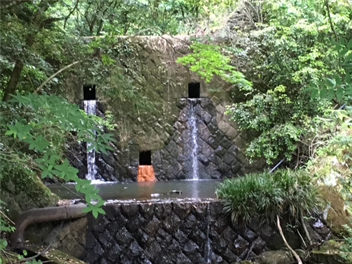 楠甫3