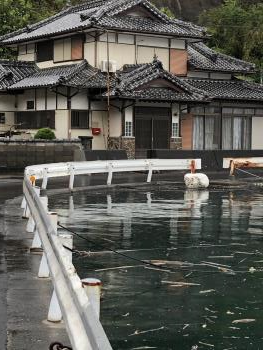 海（回転90）
