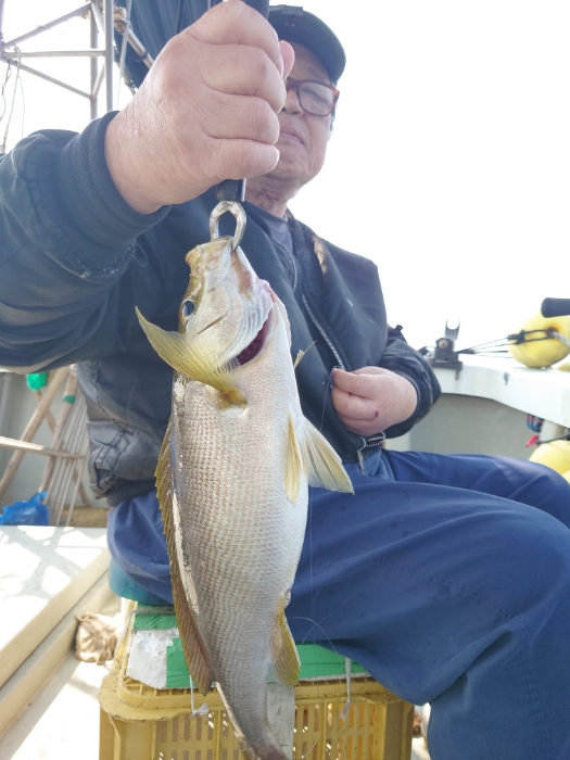 オキアミ五目釣り