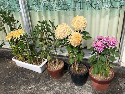 コミセン周辺③