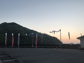 ししゃも　ブログ
