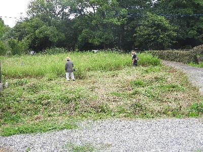 DSCN4369