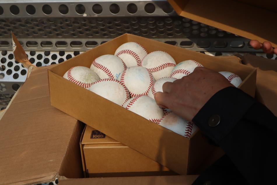【天草から夢の舞台へ⚾】