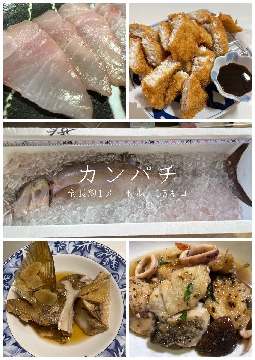 カンパチ