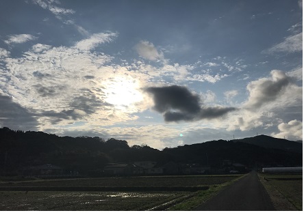 朝日