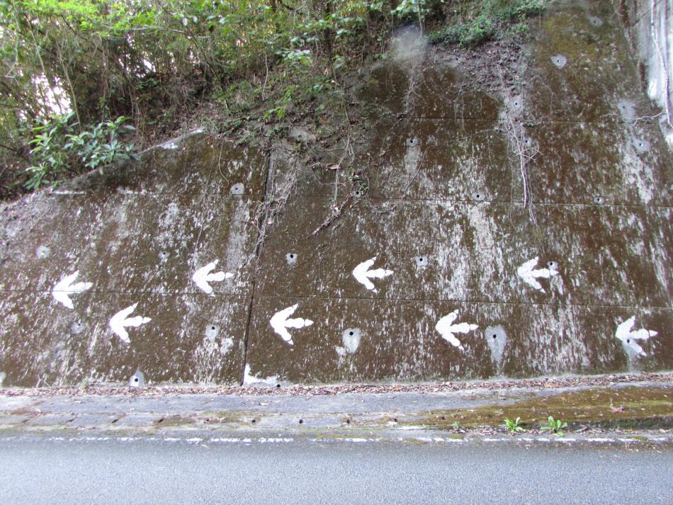 椛の木