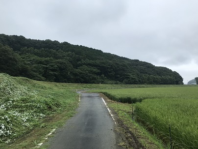 クリーン　後