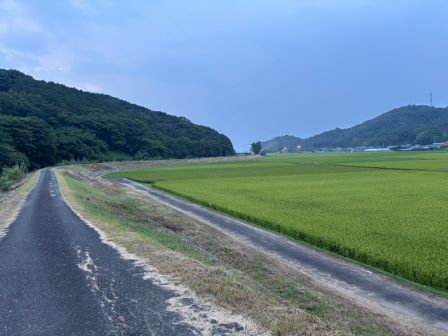 草払い後
