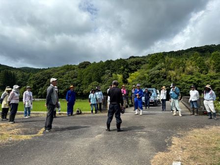 20人しか