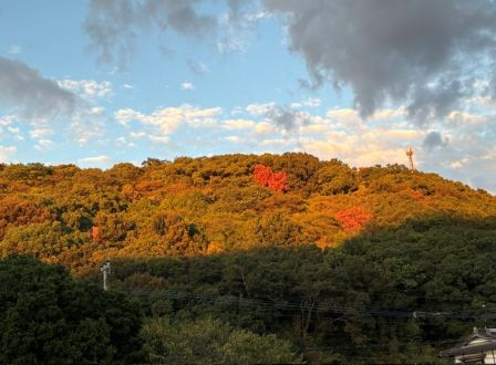 紅葉？