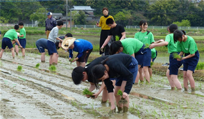 新和中学校田植え(3)（縮小400×234）