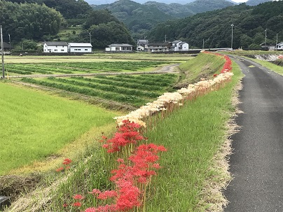 ⑰