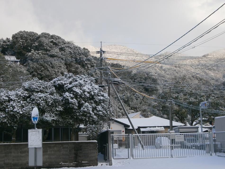 ２回目の雪