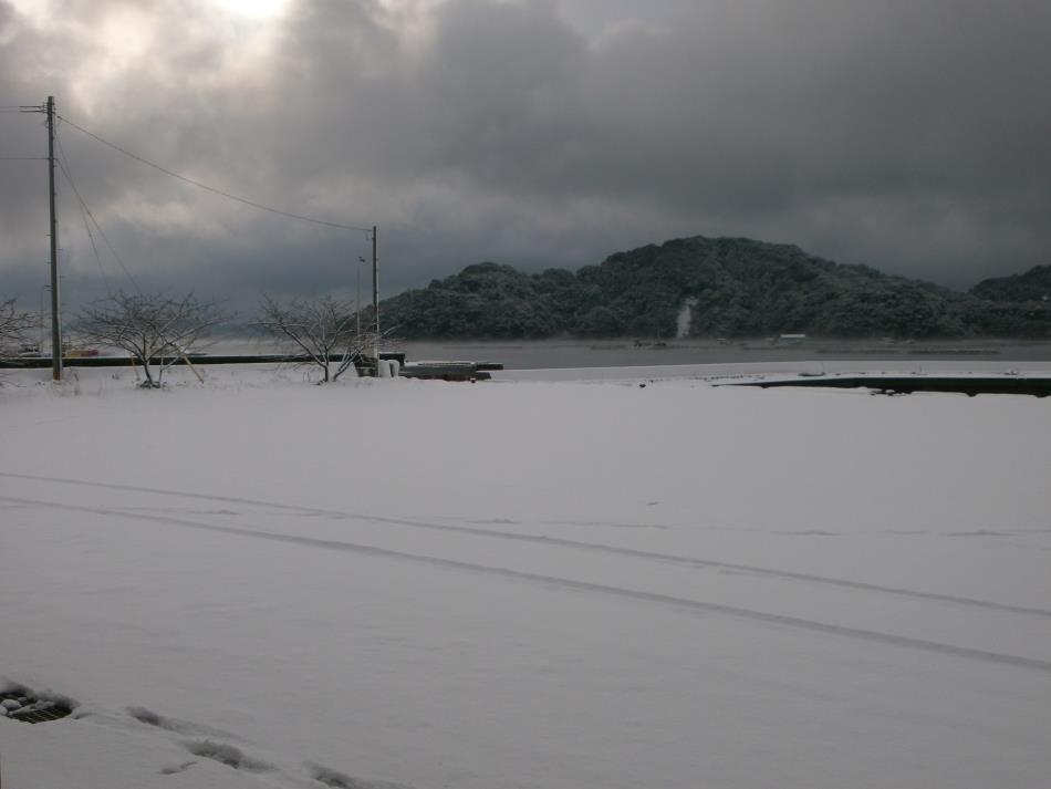 ２回目の雪