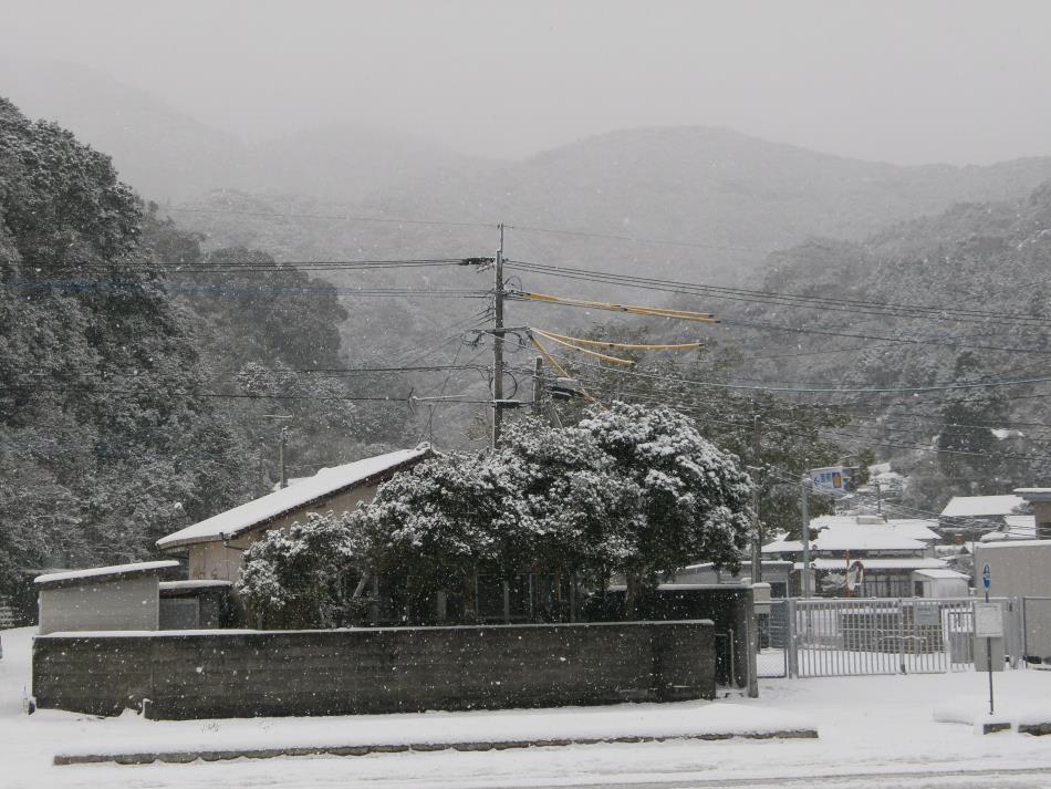 ２回目の雪