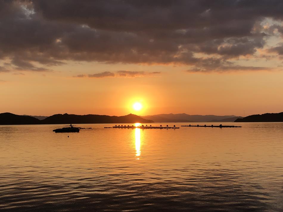 夕日