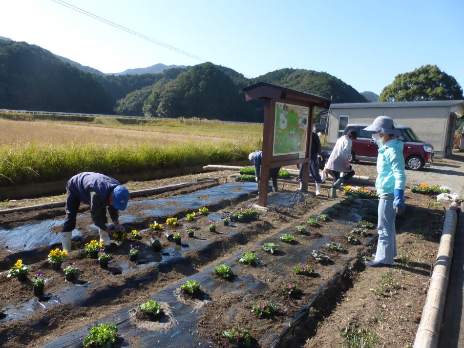 花植え