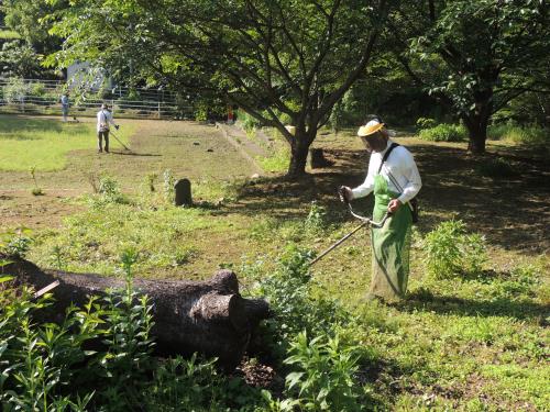 ふれあい草刈