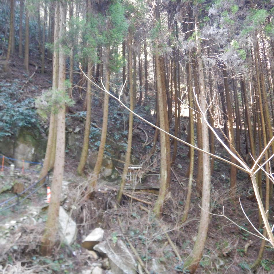 小ヶ倉観音2026 (6)