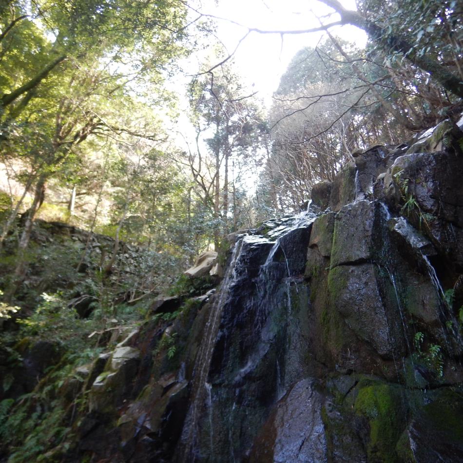 小ヶ倉観音2026 (4)