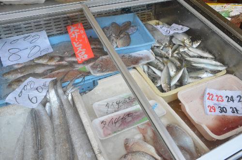 探検隊