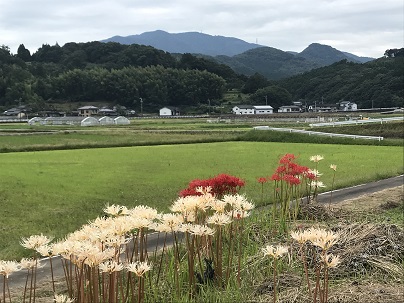 ⑬