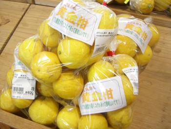 黄金