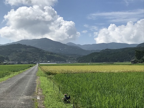 晴れた風景