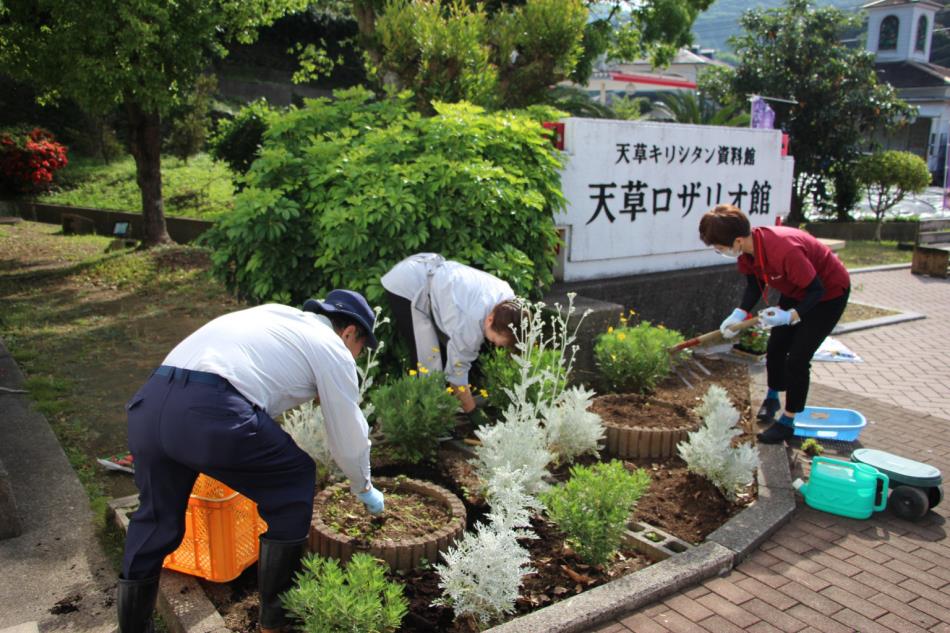 花の植え替えをしました🌻