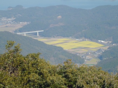 水田風景