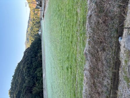 凍てつく寒さのように・・・