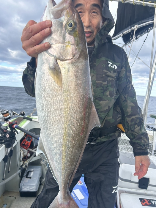 落とし込み釣り