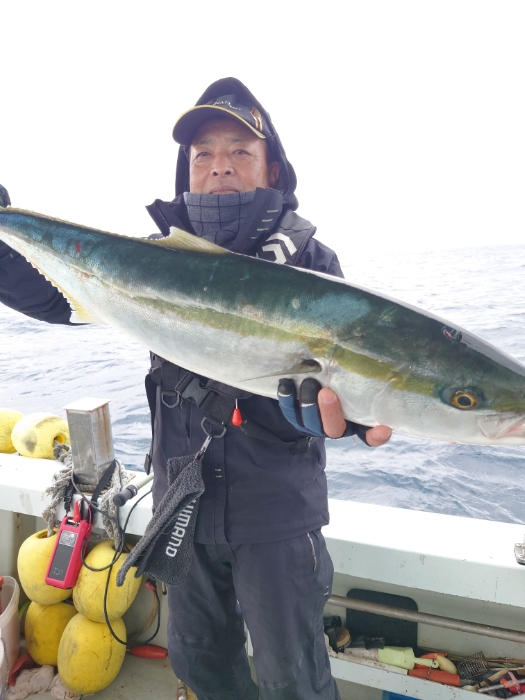 落とし込み釣り