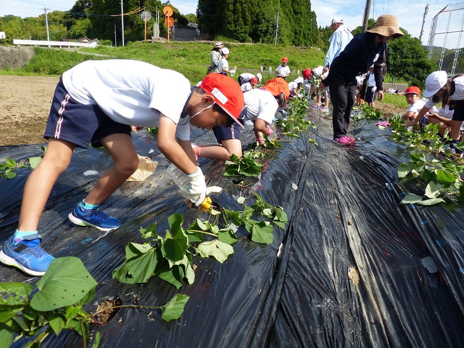 水かけ