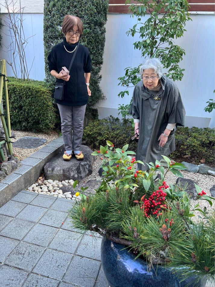 庭にお正月が来ました。