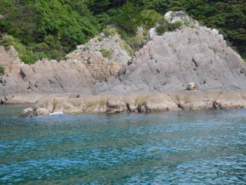 海から魚貫を・・・！