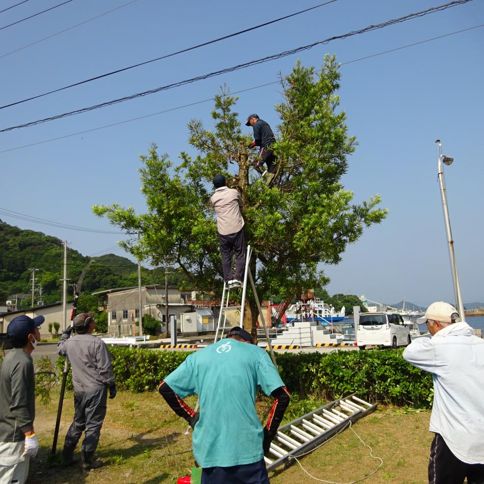 清掃活動