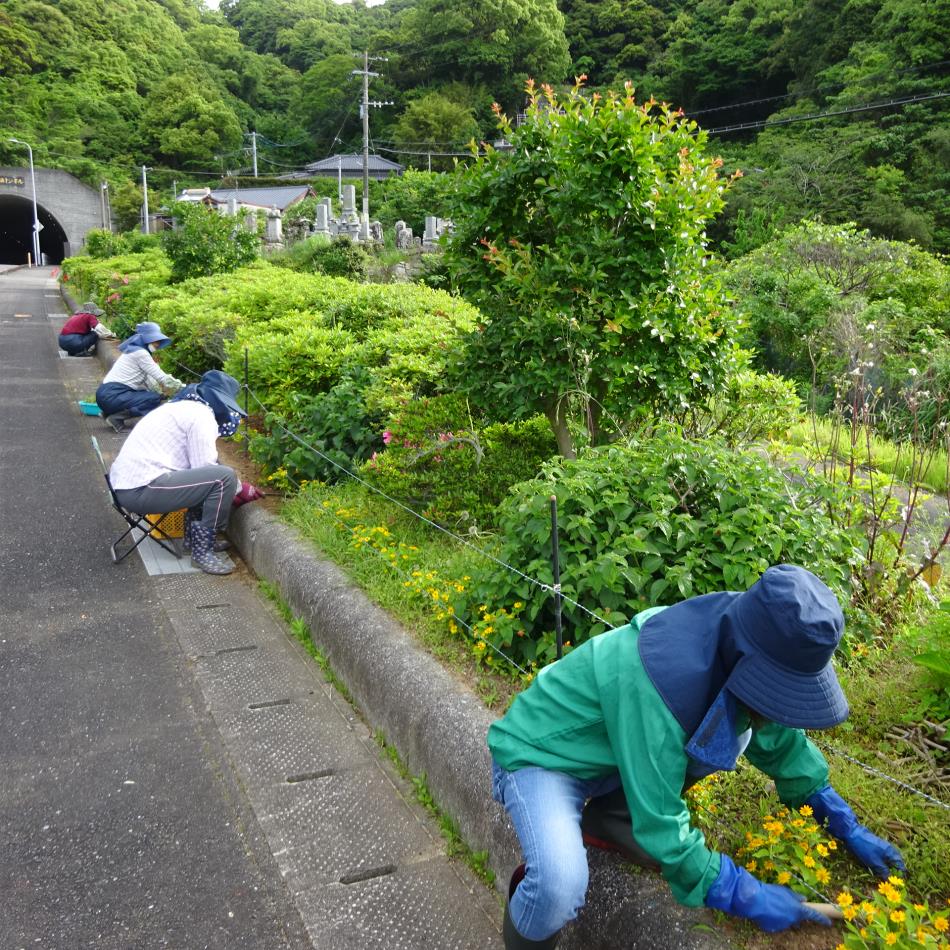地区清掃活動