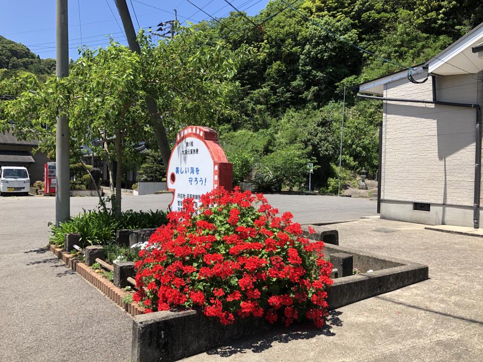 ゼラニウム