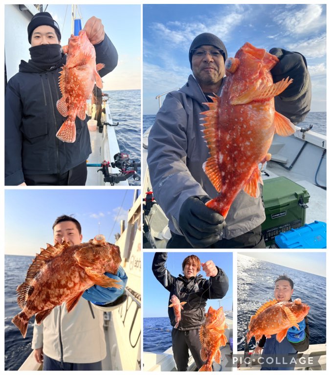 鯵の泳がせ　根魚釣り