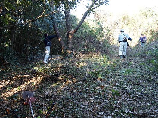 0111　上津浦城発掘調査に係る除草作業状況写真 016