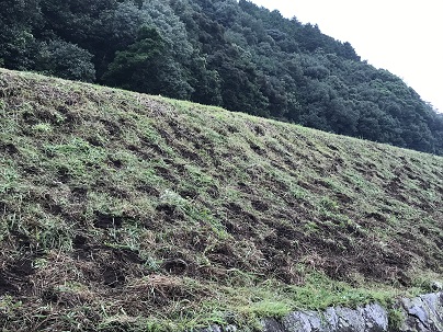いのしし掘ったみたいな？