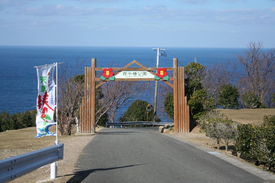 ようこそ椿公園へ