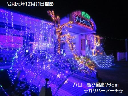イルミ令和１－入口12.11