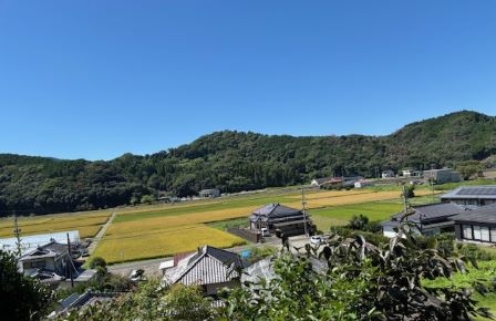 墓から