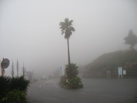 IMG_8909.JPG