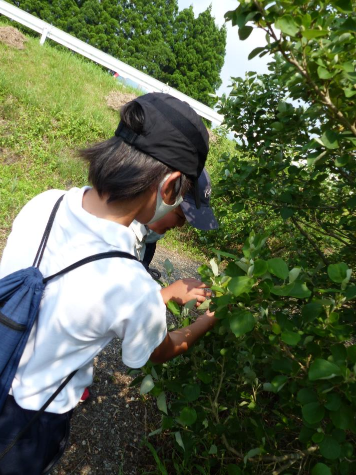 P1460526（回転90）